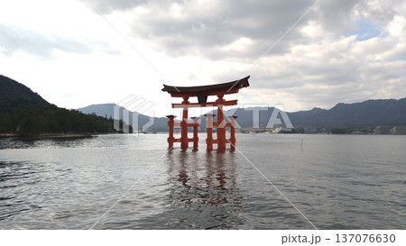 海上に高々と立つ厳島神社大鳥居 137076630