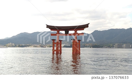 海上に高々と立つ厳島神社大鳥居 海上に高々と立つ厳島神社大鳥居 137076633
