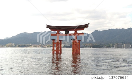海上に高々と立つ厳島神社大鳥居 海上に高々と立つ厳島神社大鳥居 137076634
