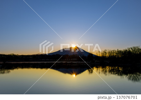 筑波山の朝日 ダイヤモンド筑波 筑波山の朝日 ダイヤモンド筑波 137076701