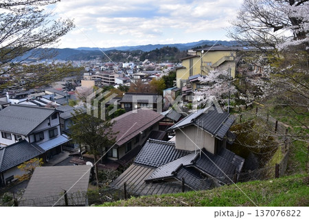 日本の岐阜県の高山市　満開の桜と美しい町並み　市街地方面の新旧の住居　城山公園から見た眺め 137076822