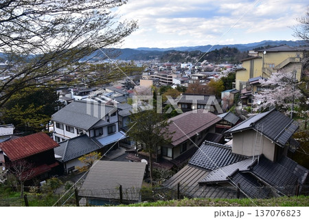 日本の岐阜県の高山市　満開の桜と美しい町並み　市街地方面の新旧の住居　城山公園から見た眺め 137076823