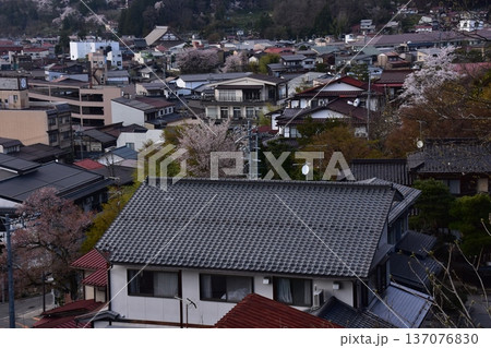 日本の岐阜県の高山市 満開の桜と美しい町並み 市街地方面の新旧の住居 城山公園から見た眺め 日本の岐阜県の高山市 満開の桜と美しい町並み 市街地方面の新旧の住居 城山公園から見た眺め 137076830