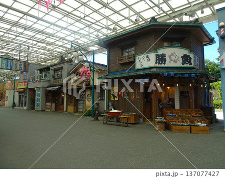 西武園ゆうえんちの風景(埼玉県所沢市)2025年8月撮影 西武園ゆうえんちの風景(埼玉県所沢市)2025年8月撮影 137077427