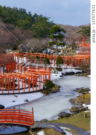 冬の高山稲荷神社 千本鳥居と雪景色 青森県津軽半島（髙山稲荷神社） 137077632