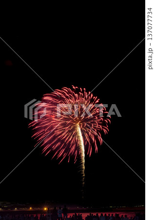 湘南ひらつか花火大会　関東 137077734
