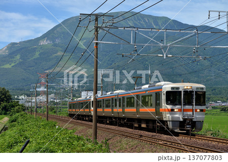 東海道本線を走る313系普通電車4両 137077803