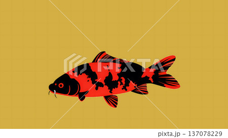 金背景に映える昭和三色の錦鯉 和モダンイラスト素材 137078229