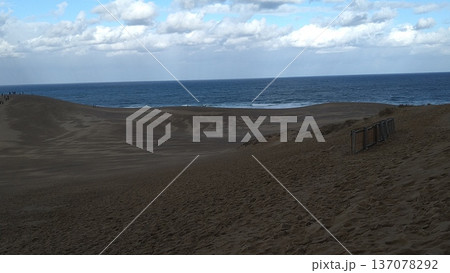 鳥取砂丘 137078292
