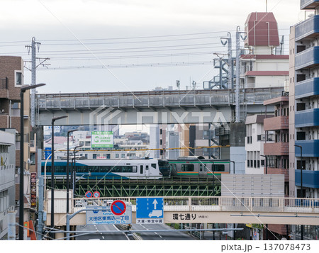 【湘南新宿ライン】環七通りを渡る電車 【湘南新宿ライン】環七通りを渡る電車 137078473