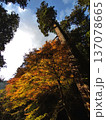 室生寺の紅葉(2024年12月) 137078665