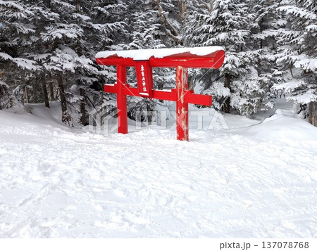 雪に埋もれた赤い鳥居 137078768
