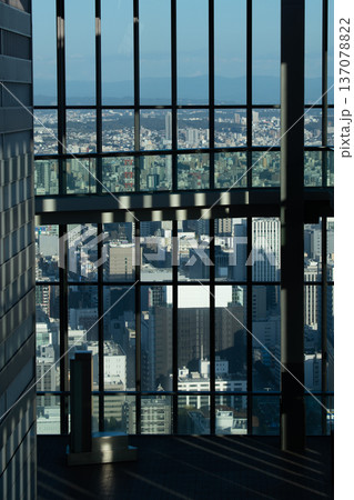 高層ビルの展望台から望む都市風景のイメージ 高層ビルの展望台から望む都市風景のイメージ 137078822