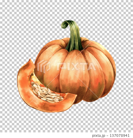 Watercolor illustration orange pumpkin and ripe piece with pulp and raw seeds. Botanical texture composition for autumn recipes, food packaging, cooking blogs, seasonal harvest. Isolated clip art Watercolor illustration orange pumpkin and ripe piece with pulp and raw seeds. Botanical texture composition for autumn recipes, food packaging, cooking blogs, seasonal harvest. Isolated clip art 137078941