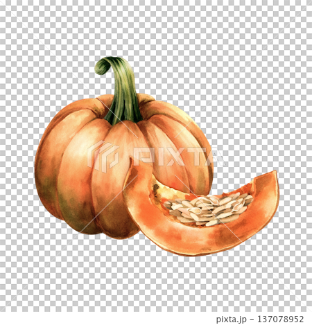 Watercolor illustration orange pumpkin and ripe piece with pulp and raw seeds. Botanical texture composition for autumn recipes, food packaging, cooking blogs, seasonal harvest. Isolated clip art Watercolor illustration orange pumpkin and ripe piece with pulp and raw seeds. Botanical texture composition for autumn recipes, food packaging, cooking blogs, seasonal harvest. Isolated clip art 137078952