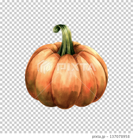 Watercolor orange pumpkin isolated on white background. Hand drawn autumn vegetable illustration for Thanksgiving or Halloween design 137078958