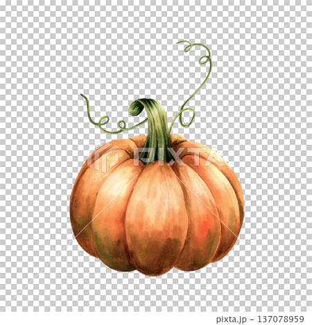 Watercolor orange pumpkin isolated on white background. Hand drawn autumn vegetable illustration for Thanksgiving or Halloween design 137078959