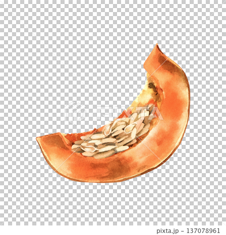 Watercolor slice of fresh pumpkin with seeds and pulp isolated on transparent background. Watercolor slice of fresh pumpkin with seeds and pulp isolated on transparent background. 137078961