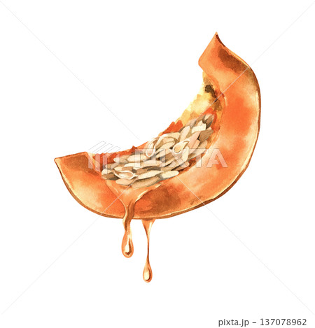 Watercolor pumpkin slice with seeds and dripping oil isolated on transparent background. 137078962