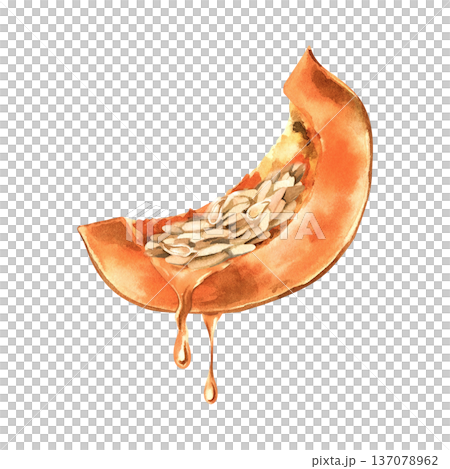 Watercolor pumpkin slice with seeds and dripping oil isolated on transparent background. 137078962