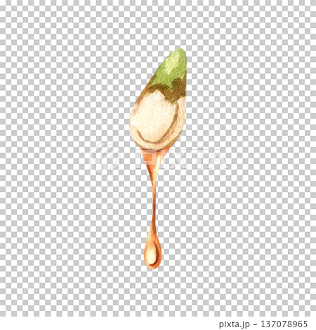 Watercolor pumpkin seed with a golden oil drop illustration. Watercolor pumpkin seed with a golden oil drop illustration. 137078965