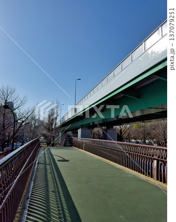 下から見上げた名古屋高速道路の都市景観 下から見上げた名古屋高速道路の都市景観 137079251