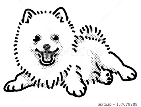 スピッツ　子犬　白黒　背景透過　犬のイラスト 137079289