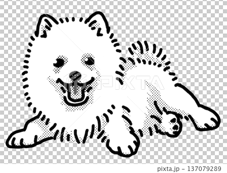 スピッツ　子犬　白黒　背景透過　犬のイラスト 137079289