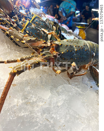 Fresh lobsters displayed on ice at a seafood market, with blurred figures of shoppers and vendors in the background under bright market lighting Fresh lobsters displayed on ice at a seafood market, with blurred figures of shoppers and vendors in the background under bright market lighting 137079465