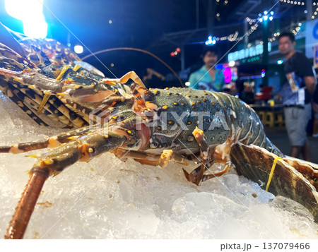 Fresh lobster displayed on ice at a seafood market with blurred background of people and colorful lights creating a vibrant atmosphere 137079466