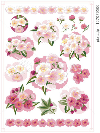 Set of Plum Blossom Flower Stickers for Planner, Flat Vector Illustration of Early Spring Season Set of Plum Blossom Flower Stickers for Planner, Flat Vector Illustration of Early Spring Season 137079506