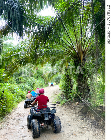 Group of individuals riding ATVs on a dirt path surrounded by lush tropical palm trees in a vibrant green landscape during an outdoor adventure tour Group of individuals riding ATVs on a dirt path surrounded by lush tropical palm trees in a vibrant green landscape during an outdoor adventure tour 137079512