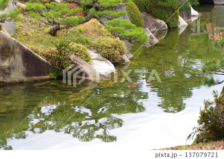 三景園の池の景色 137079721