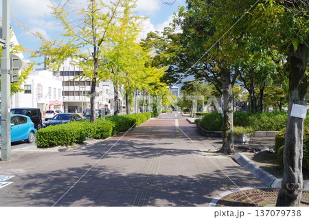 呉市蔵本通り歩道の景色 呉市蔵本通り歩道の景色 137079738