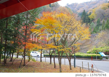 安芸太田町温井ダムもみじの景色 137079748