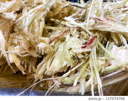 Cane pulp extracted from sugarcane after pressing for juice, showcasing fibrous texture and natural color variations in a close-up view 137079766