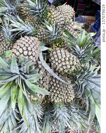 Fresh pineapples stacked together with green leaves, showcasing their textured skin and vibrant color in a market setting, surrounded by various produce 137079819