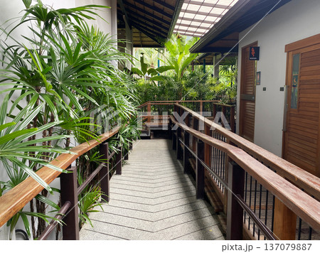 Tropical indoor walkway with wooden railing surrounded by lush green plants and natural light filtering through a glass roof in a modern architectural setting 137079887