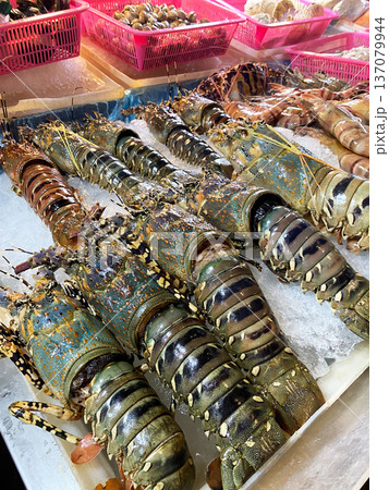Freshly caught lobsters displayed on ice at a seafood market with pink baskets and various shellfish in the background Freshly caught lobsters displayed on ice at a seafood market with pink baskets and various shellfish in the background 137079944