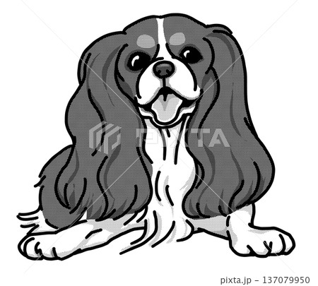 キャバリエ 犬のイラスト 背景透過 白黒 キャバリエ 犬のイラスト 背景透過 白黒 137079950
