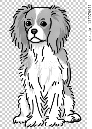 騎士查理王犬插圖,透明背景,黑白 騎士查理王犬插圖,透明背景,黑白 137079951