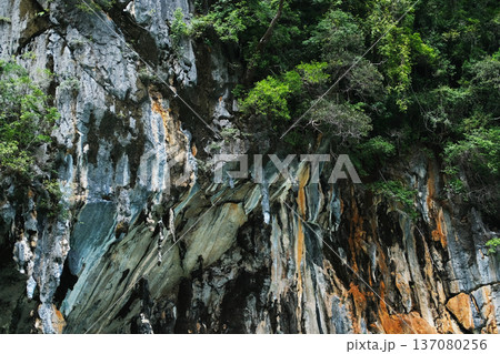 Rocky cliffside with lush green vegetation and textured stone formations, showcasing natural geological features in a tropical landscape setting Rocky cliffside with lush green vegetation and textured stone formations, showcasing natural geological features in a tropical landscape setting 137080256