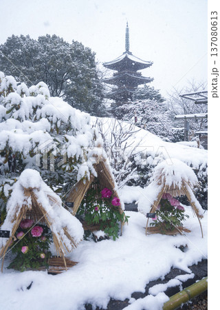 雪の積もった上野東照宮 雪の積もった上野東照宮 137080613