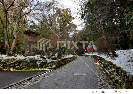 赤山禅院の門からみた境内の雪景色 137081175