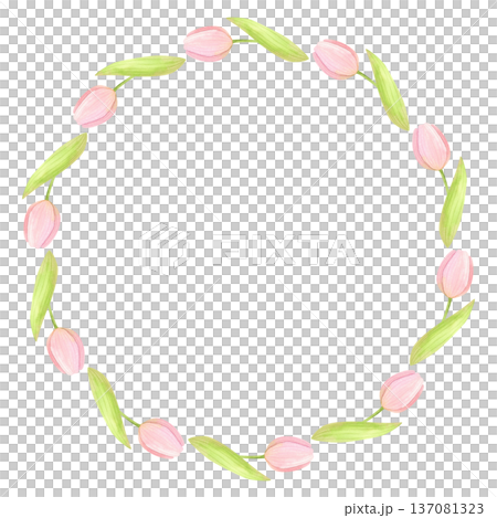 Round frame of fresh tulips with green leaves and buds. Spring floral wreath hand painted in watercolor. 137081323