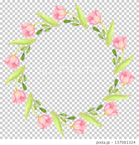 Round frame of fresh tulips with green branches. Spring floral wreath hand painted in watercolor. Round frame of fresh tulips with green branches. Spring floral wreath hand painted in watercolor. 137081324