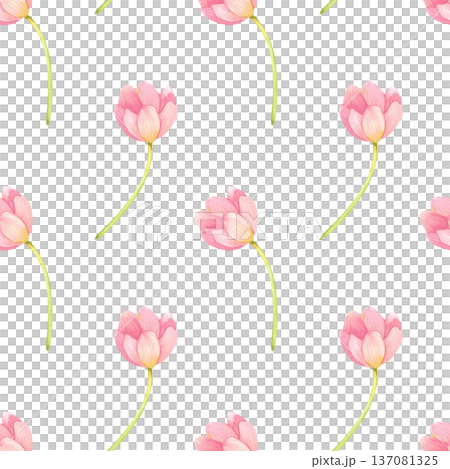 Seamless pattern with fresh tulips. Spring pink flowers hand-drawn in watercolor. Seamless pattern with fresh tulips. Spring pink flowers hand-drawn in watercolor. 137081325