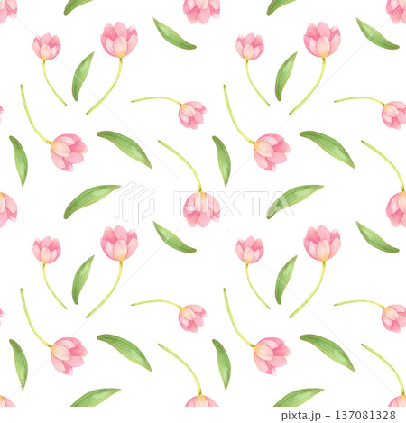 Seamless pattern with fresh, delicate tulips and leaves. Spring pink flowers hand drawn in watercolor. Seamless pattern with fresh, delicate tulips and leaves. Spring pink flowers hand drawn in watercolor. 137081328