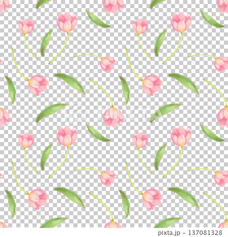 Seamless pattern with fresh, delicate tulips and leaves. Spring pink flowers hand drawn in watercolor. Seamless pattern with fresh, delicate tulips and leaves. Spring pink flowers hand drawn in watercolor. 137081328