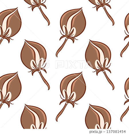 Seamless pattern with cotton buds in flat style. Illustration background for textile print, organic fabric, packaging and rustic design. Seamless pattern with cotton buds in flat style. Illustration background for textile print, organic fabric, packaging and rustic design. 137081454